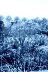 preview cold