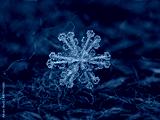 preview cold