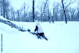 preview cold