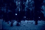 preview cold