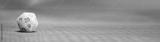 preview bw