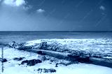 preview cold