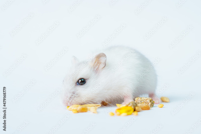 image to crop