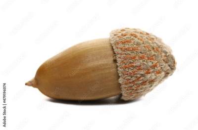 image to crop