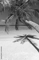 preview bw