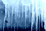 preview cold