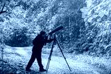 preview cold