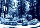 preview cold