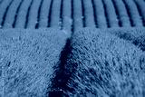 preview cold