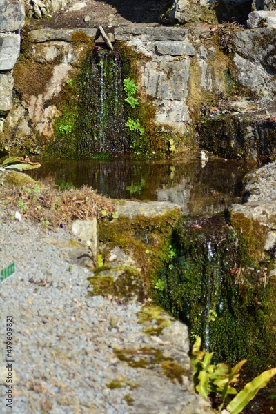 image to crop