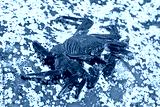 preview cold