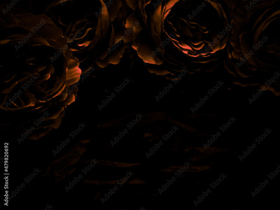 image to crop