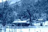 preview cold