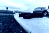 preview cold