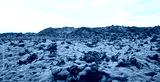 preview cold