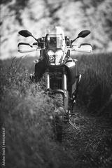 preview bw