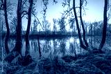 preview cold