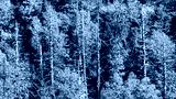 preview cold