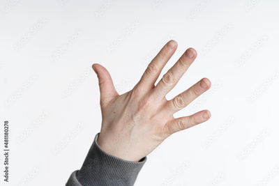 image to crop