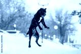 preview cold