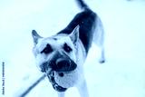 preview cold