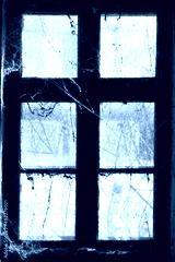preview cold