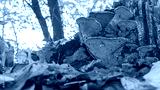 preview cold