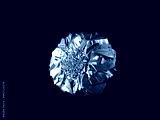 preview cold
