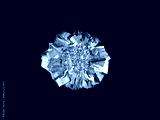 preview cold