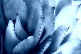 preview cold