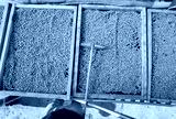 preview cold