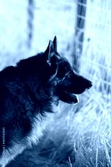 preview cold