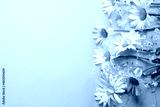 preview cold