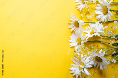 image to crop