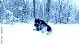 preview cold