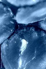 preview cold