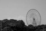 preview bw