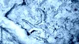 preview cold