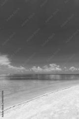 preview bw