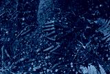 preview cold