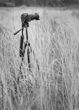 preview bw