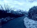 preview cold