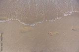 preview original
