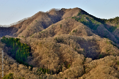 image to crop