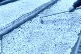 preview cold