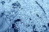 preview cold