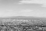 preview bw