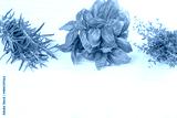 preview cold