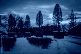preview cold