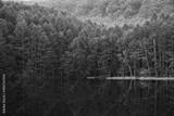 preview bw